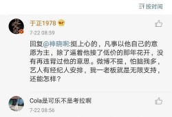 娱乐圈吃瓜爆料陈晓,揭秘明星背后的真相