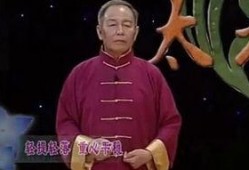 杨氏太极91式直播,直播带你领略传统武术魅力