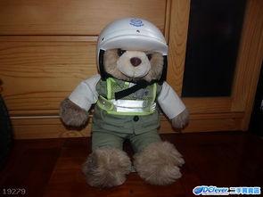 娱乐吃瓜酱交警小熊,交警小熊的娱乐吃瓜日常