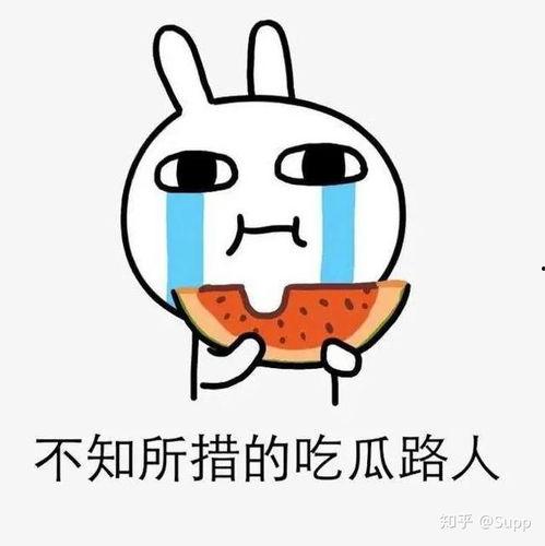 娱乐吃瓜酱东北老铁